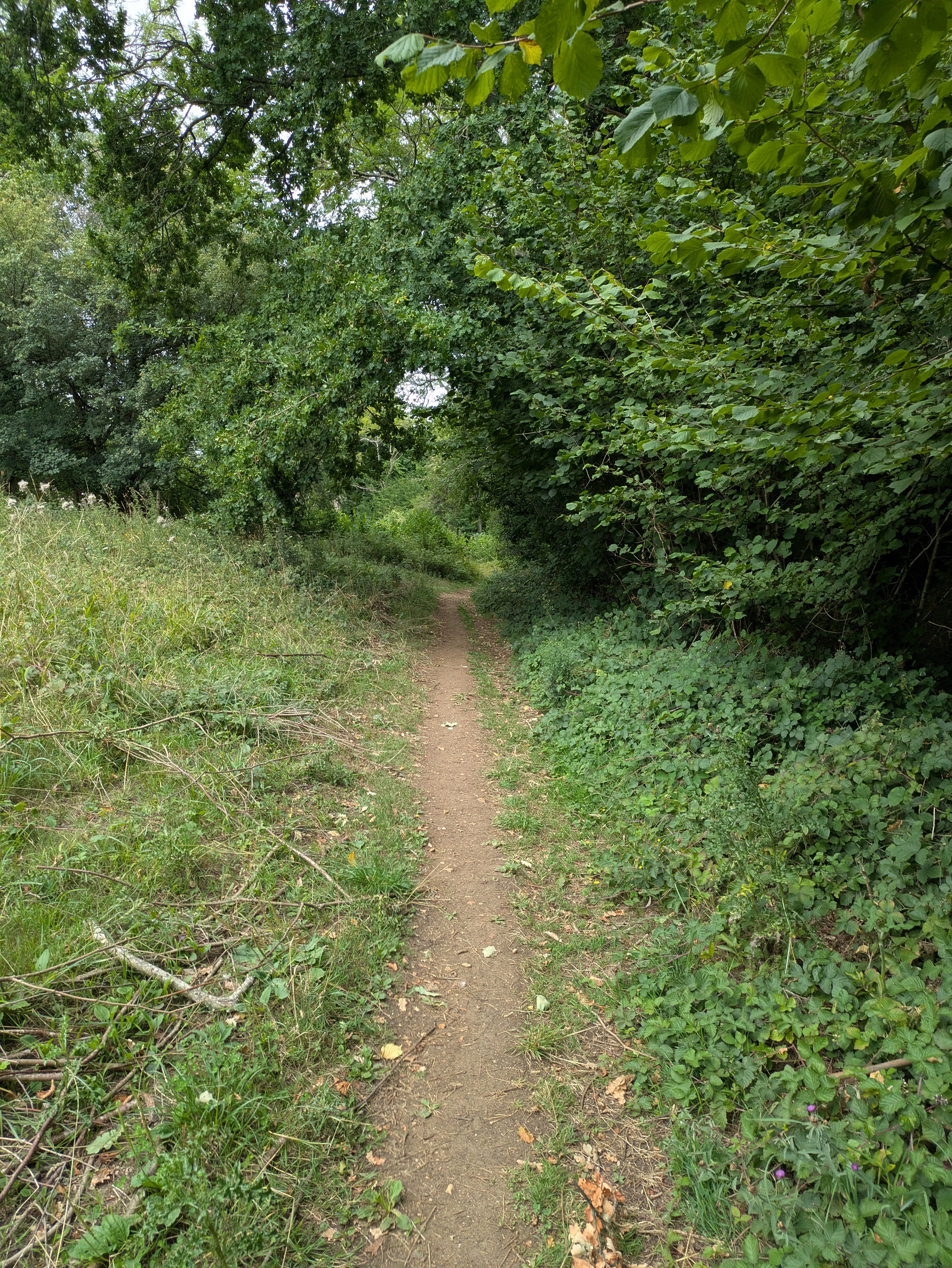 Cotswolds Way - Day 4